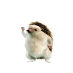 Avatar of user twinkie_winkies