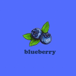 Avatar of user Blueberryfruit