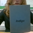 Cover of album IndigoTacos Singles Collection by indigotacos