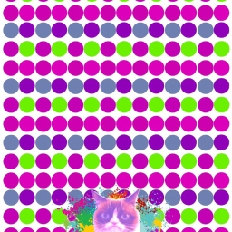 Avatar of user chchslz1980