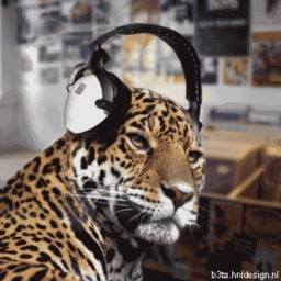 Avatar of user LeopardBeat