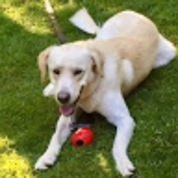 Avatar of user Carvar