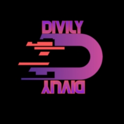 Avatar of user divly