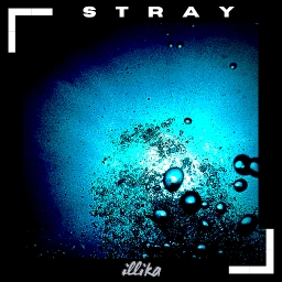 Cover of track Stray by Snio