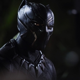 Avatar of user The Black Panther