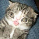 Avatar of user Om3gaDurpCatK1ng