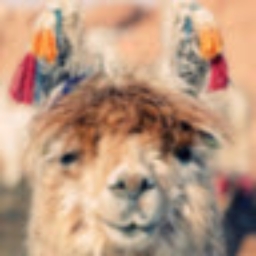 Avatar of user m_maklakoff_gmail_com