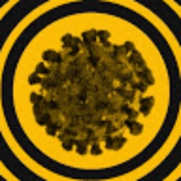 Avatar of user quarantine_hymn