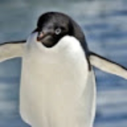 Avatar of user Buiithepenguin