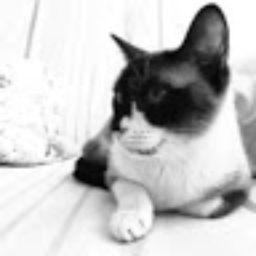 Avatar of user sejolito_gmail_com