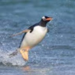 Avatar of user kropsj_students_sparta_org