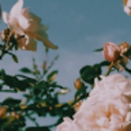 Avatar of user kschaefer44