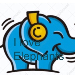 Avatar of user I love Elephants