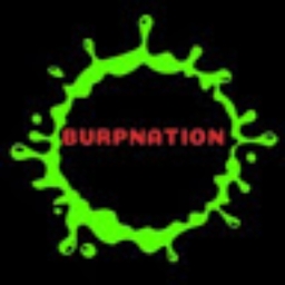Avatar of user Burpnation