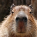 Avatar of user eelkewalther_gmail_com