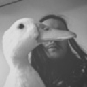 Avatar of user DuckGhetto