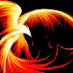 Avatar of user ReinsPhoenix