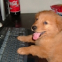 Avatar of user bimbofied