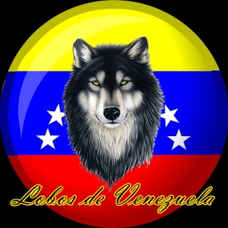 Avatar of user Carlosvzla