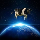 Avatar of user EmilPP