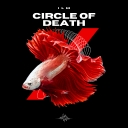 Cover of album Circle Of Death by ILM
