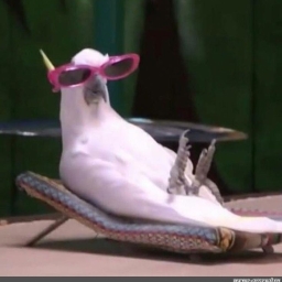 Avatar of user broomstickk