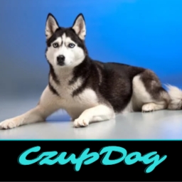 Avatar of user CzupDog