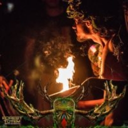 Avatar of user patrick_forestim