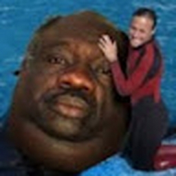 Avatar of user hilualiyi_gmail_com