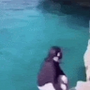 Avatar of user xcatron_student