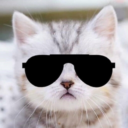 Avatar of user Flamusicer