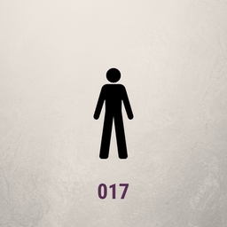 Avatar of user 017