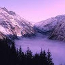 Avatar of user leilamfaridi_gmail_com