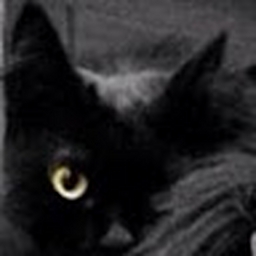 Avatar of user annamdir