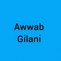 Avatar of user awwabgilani17_gmail_com