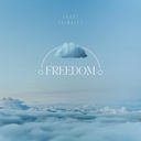 Cover of album FREEDOM (Single) by lit.world.wav