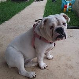 Avatar of user Codymelodie