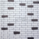 Cover of album The Walls Are Falling Down by rilequi
