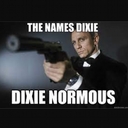 Avatar of user Dixie_Normous