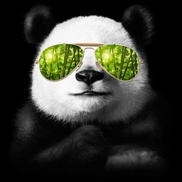 Avatar of user Panda4Ever