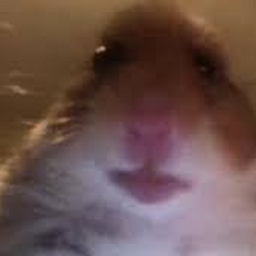 Avatar of user playboytq