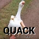 Cover of album Quack  by Wack Crack