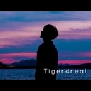 Avatar of user Tiger4real