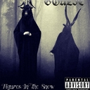 Cover of album Figures In the snow  by Goulie