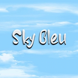 Avatar of user Sky Bleu