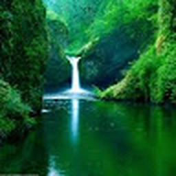 Avatar of user gjjtdhjj_gmail_com