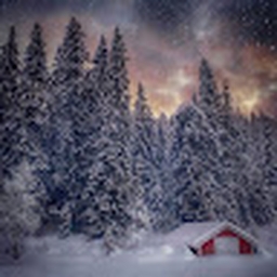 Avatar of user lsh21987_gmail_com