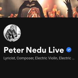 Avatar of user peternedulive