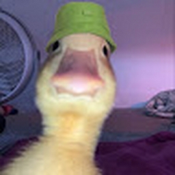 Avatar of user asmiaesthetic_gmail_com