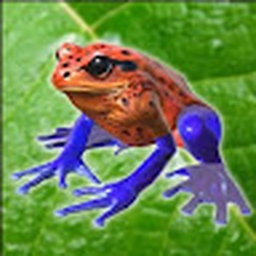 Avatar of user toads